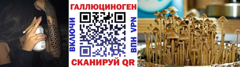 купить наркотики сайты  Кореновск  Галлюциногенные грибы прущие грибы 