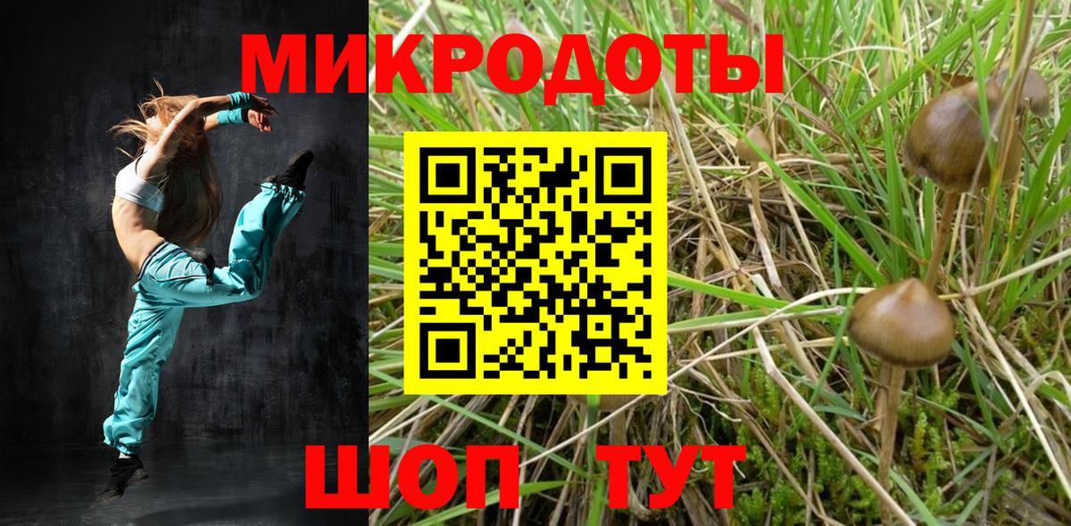 Галлюциногенные грибы мицелий  Вход с VPN  Кореновск 