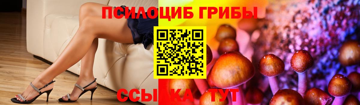 Галлюциногенные грибы Psilocybine cubensis Кореновск